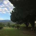 Hazas Jarandilla de la Vera