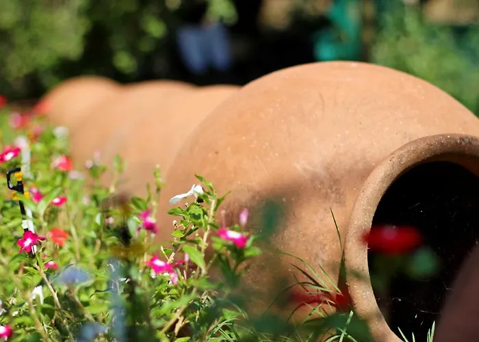 Hazas Holiday home *